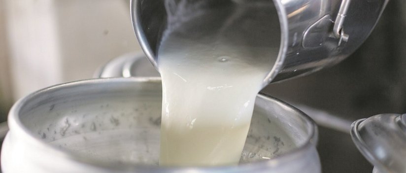 Milchkanne leert Milch in Kanne