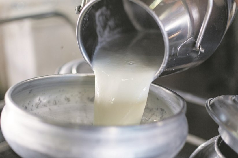 Milchkanne leert Milch in Kanne