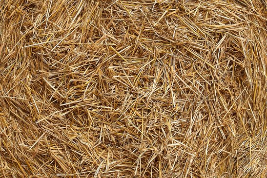 Das Frühbeet kann - isoliert mit Stroh - jetzt noch als Gemüselagerung verwendet werden. ©pixabay