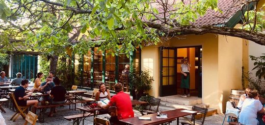 Weingut Schaflerhof Titelbild