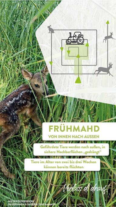 Story Frühmahd Anleitung