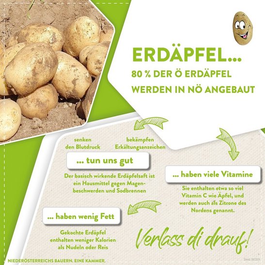 Erdäpfel sind gesund aufgrund ihrer guten Inhaltsstoffe
