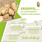 Erdäpfel sind gesund aufgrund ihrer guten Inhaltsstoffe