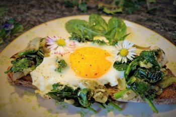 Schwarzbrot mit Spinat und Spiegelei