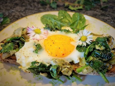 Schwarzbrot mit Spinat und Spiegelei