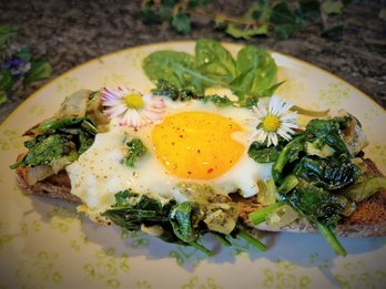 Schwarzbrot mit Spinat und Spiegelei