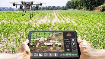 Modern Smart Farming Agriculture Technology At Farm