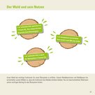 Holz - Der Wald und sein Nutzen.jpg
