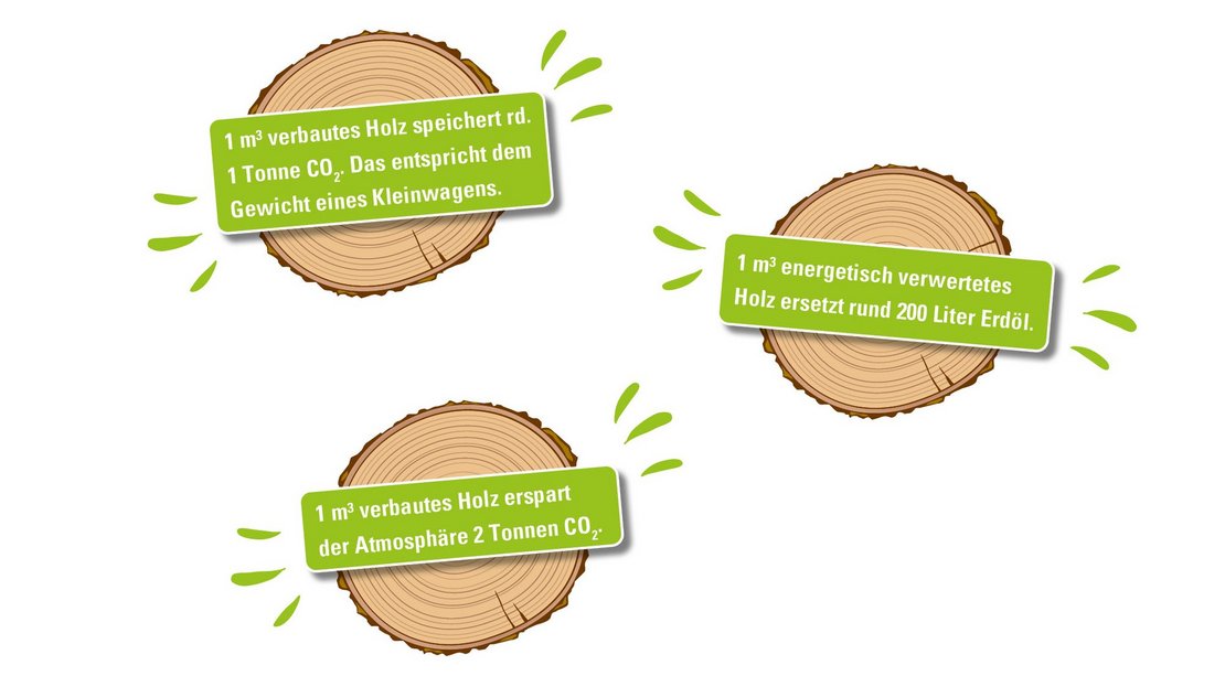 Holz - Der Wald und sein Nutzen.jpg
