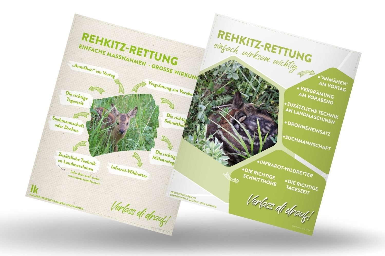 Infografik von Verlass di drauf der Landwirtschaftskammer Niederösterreich zur Rehkitz-Rettung
