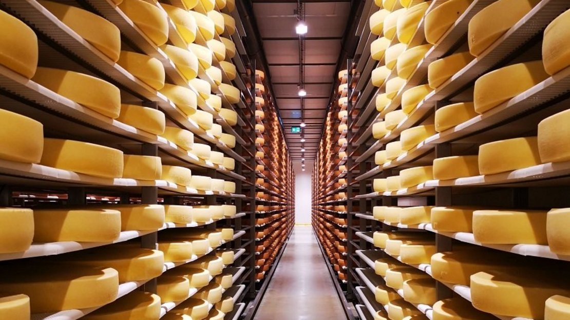 Käselager für Hartkäse ©Teresa Neuhold/LK Niederösterreich
