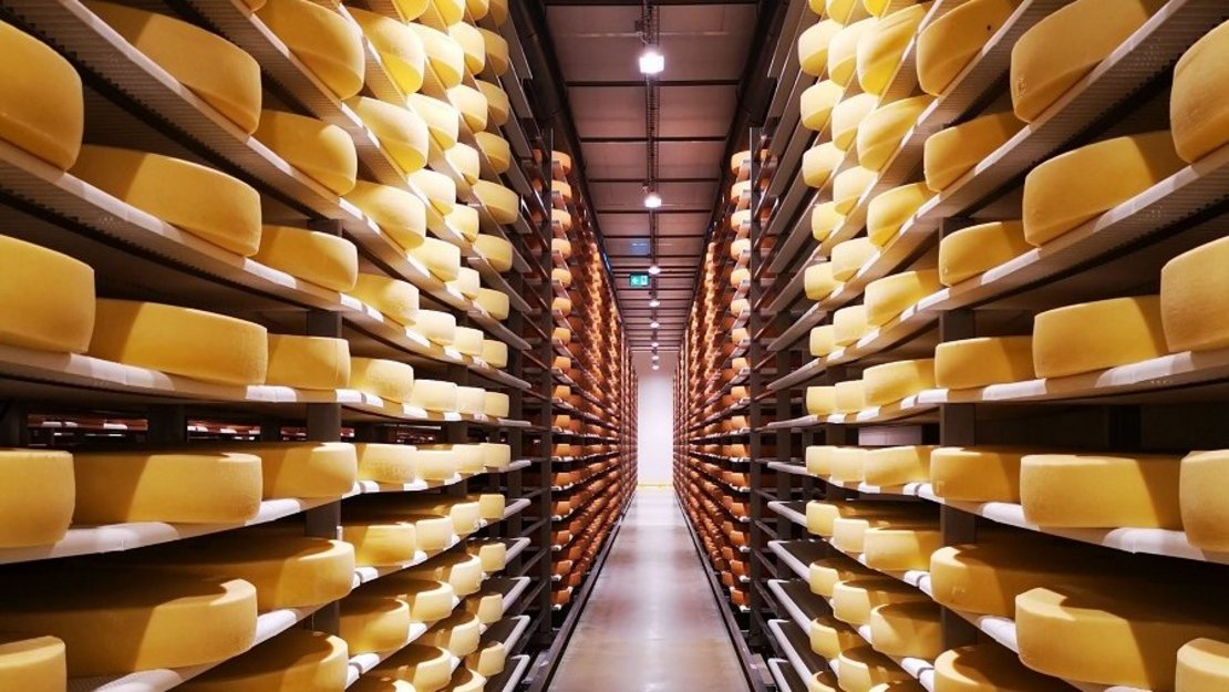 Käselager für Hartkäse ©Teresa Neuhold/LK Niederösterreich