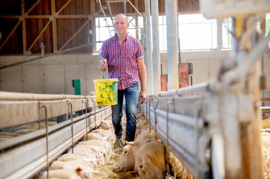 Schafbauer Florian Sterkl am Futterband für seine Schafe