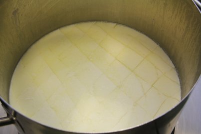 Frischkäse Herstellung ©Elisabeth Heidegger/LK Niederösterreich