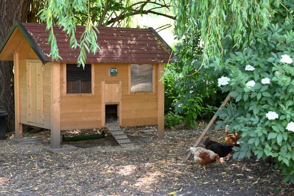 Kindergarten am Bauernhof - Landwirtschaft verstehen