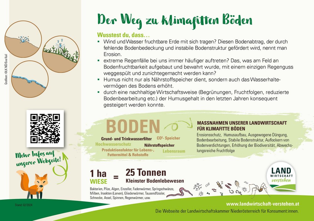 Druckvorlage Boden.jpg