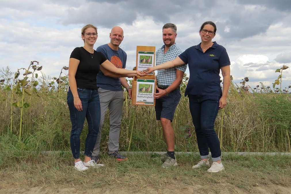 Präsentation Biodiversitäts-Saatgutmischung "Probstdorfer Rebhuhnglück"