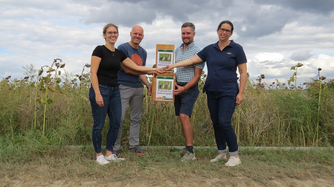 Präsentation Biodiversitäts-Saatgutmischung "Probstdorfer Rebhuhnglück"