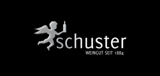Weingut Andreas Schuster Titelbild