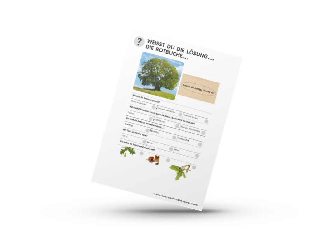 Baumarten in Österreich - Laubbäume