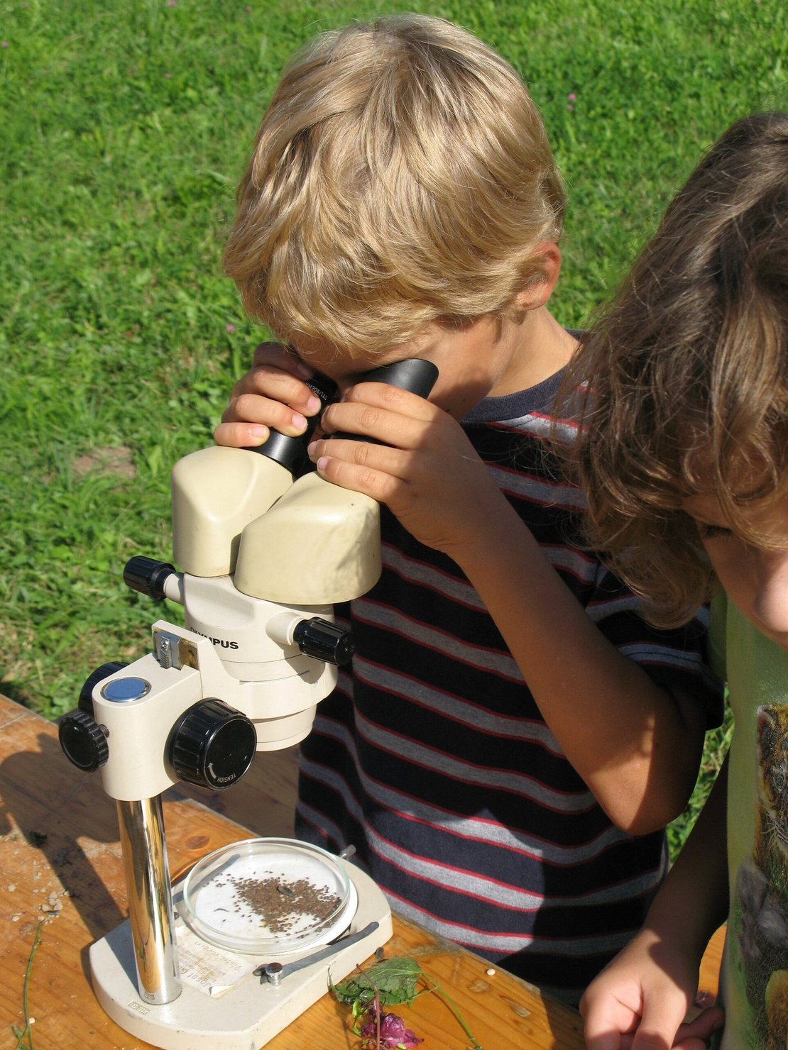 Kinder sieht durch Mikroskop