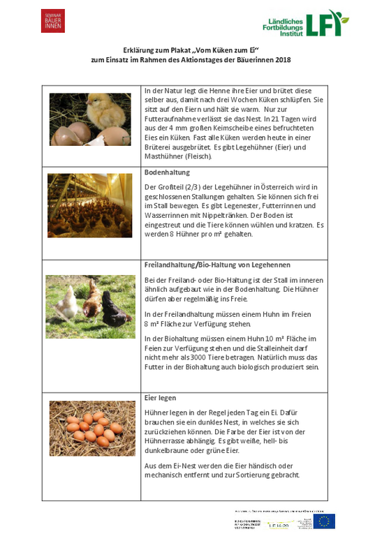 Zweiseitige bebilderte Erklärung des Plakats vom Ei zum Huhn