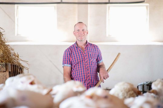 Stolzer Schafbauer mitten in seiner Schafherde