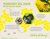 Infografik Bienen