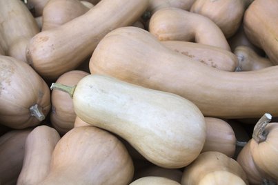 Butternusskürbis ©Sonja Hießberger/LK Niederösterreich