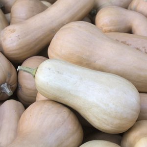 Butternusskürbis ©Sonja Hießberger/LK Niederösterreich