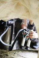 Anlegen vom Melkzeug beim Melkvorgang ©Angela Hauer/LK Niederösterreich