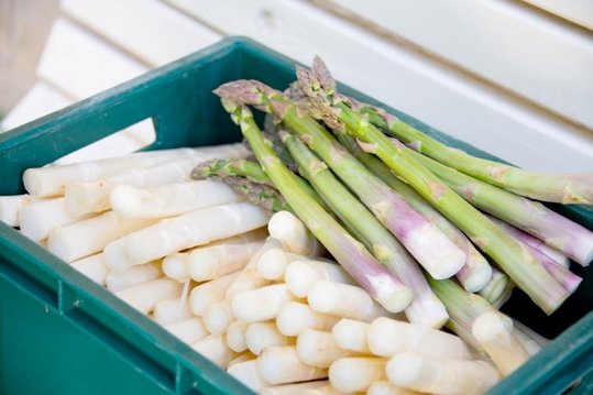 Grüner und weißer Spargel in Transportbox.