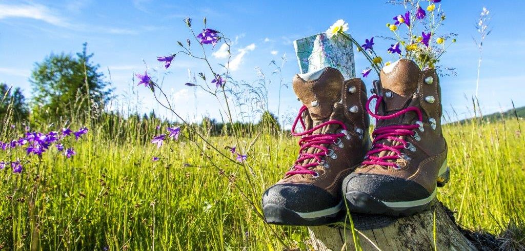 Almen sind idyllisch aber mit den Weidetieren ist nicht zu spaßen. Beim Umgang mit Rindern auf der Alm braucht es einen respektvollen, vorsichtigen Umgang.