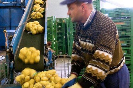 Erdäpfelabpackanlage ©AMA Marketing