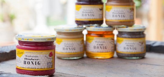 Stögerer Alfred und Hannes Titelbild