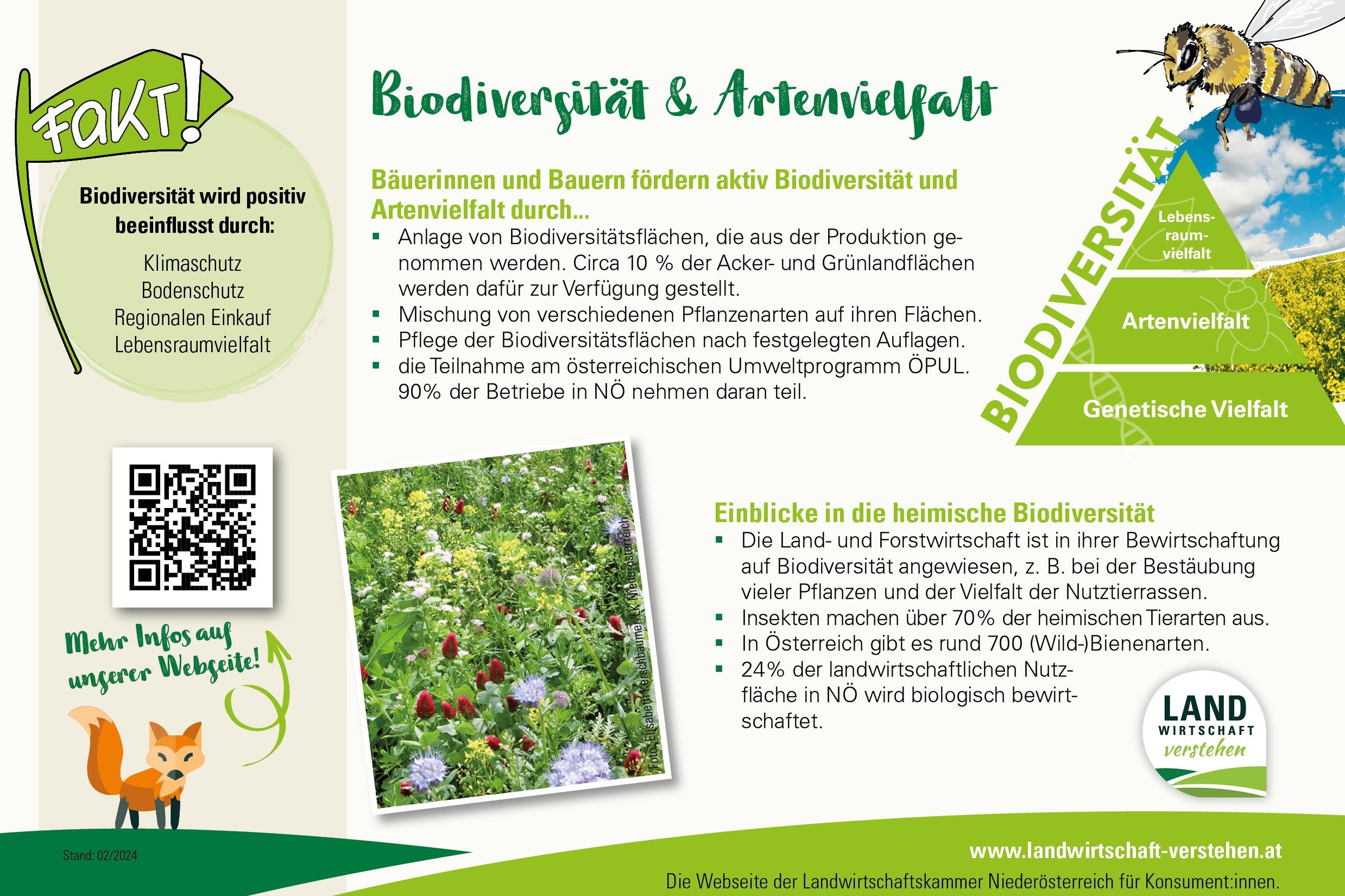 Druckvorlage Biodiversität und Artenvielfalt