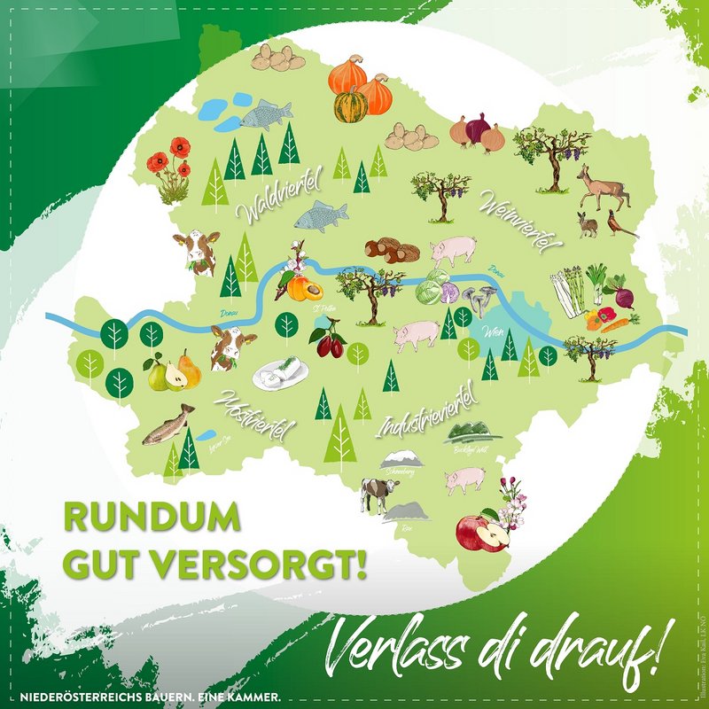 Vielfalt in Niederösterreich.jpg