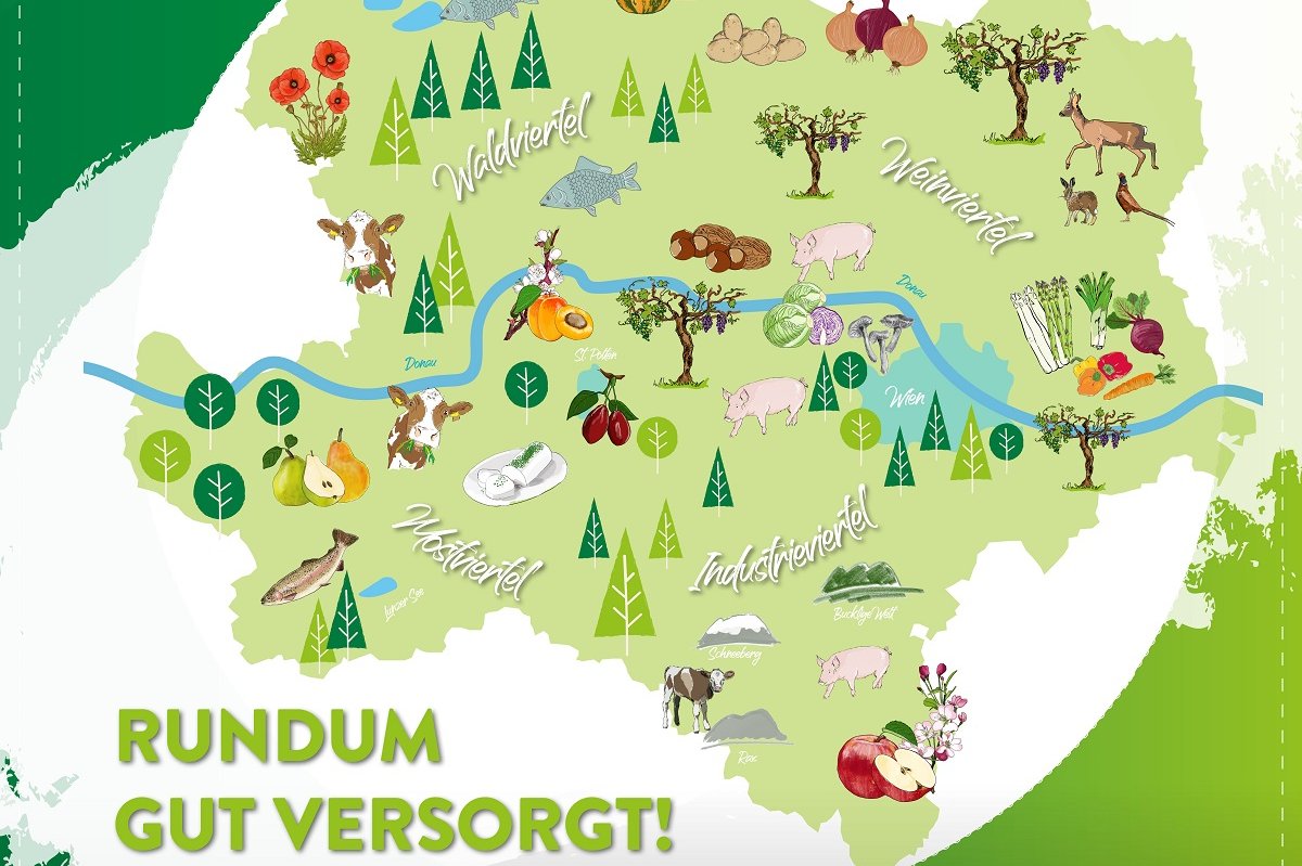 Vielfalt in Niederösterreich.jpg