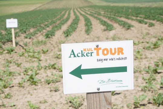 Die Wegweiser führen dich entlang des Weges ©Die Bäuerinnen im Gebiet Schwechat