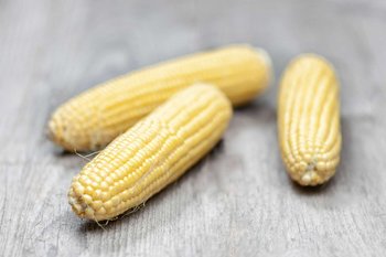 Drei Kolben Zuckermais liegen auf einem Holztisch