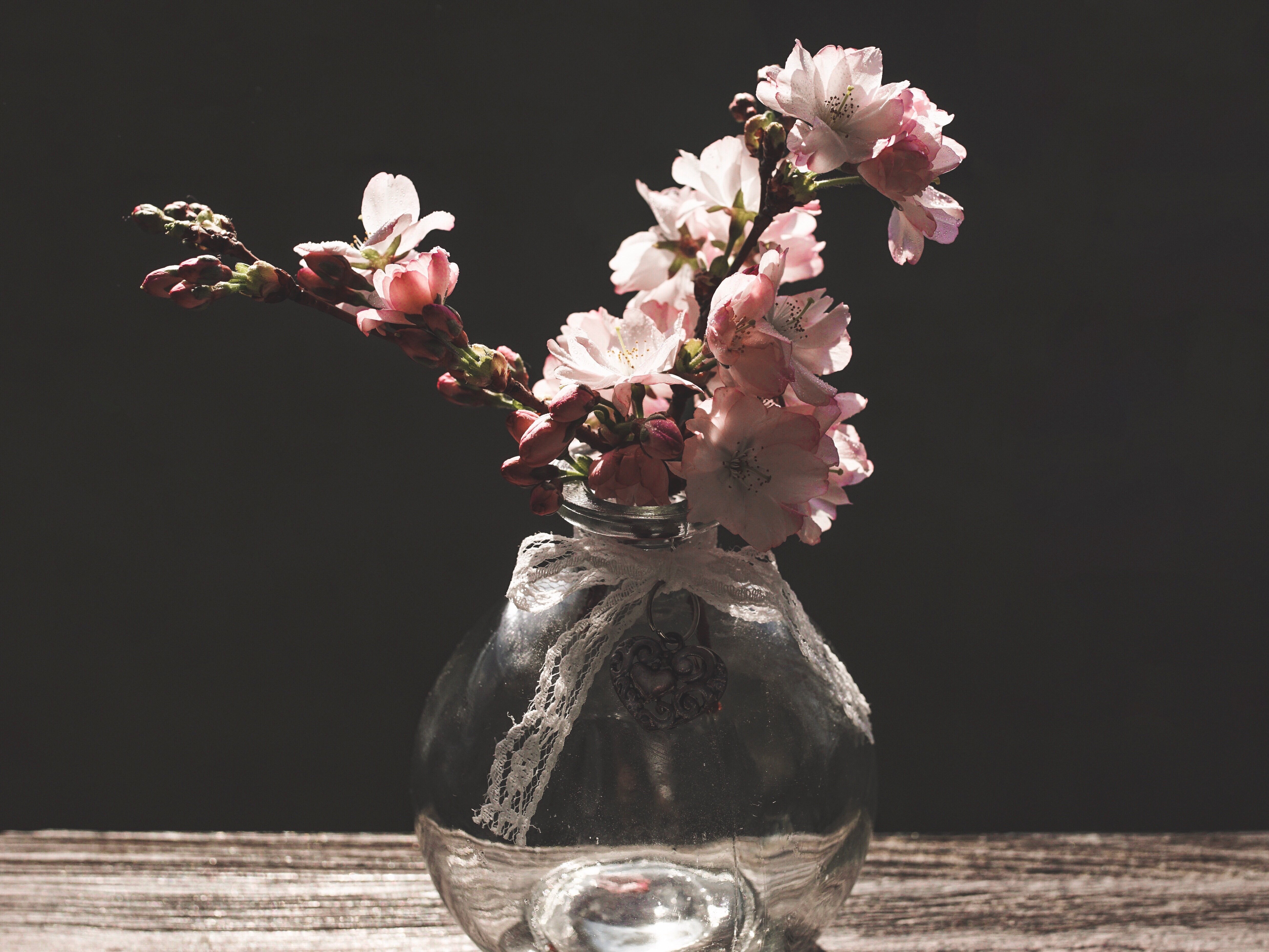 Barbarazweige in Vase