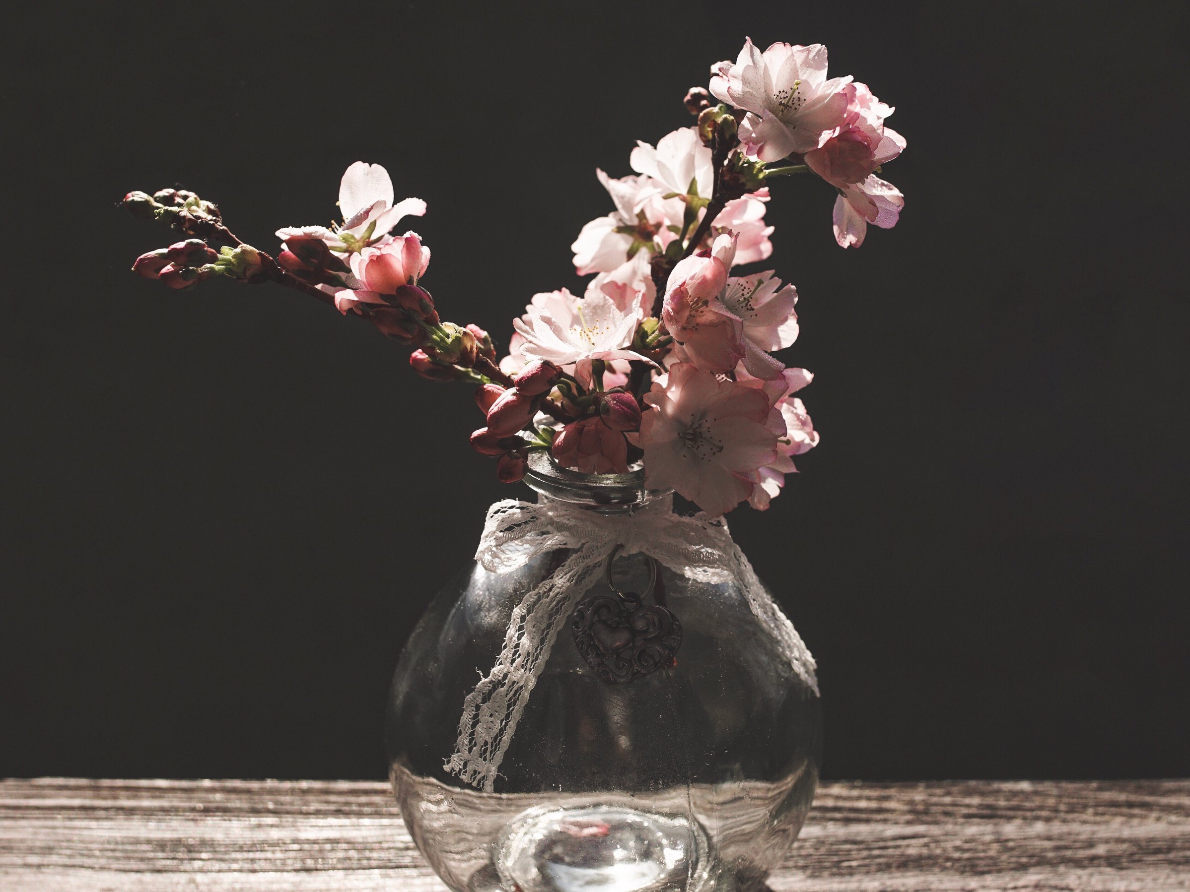 Barbarazweige in Vase