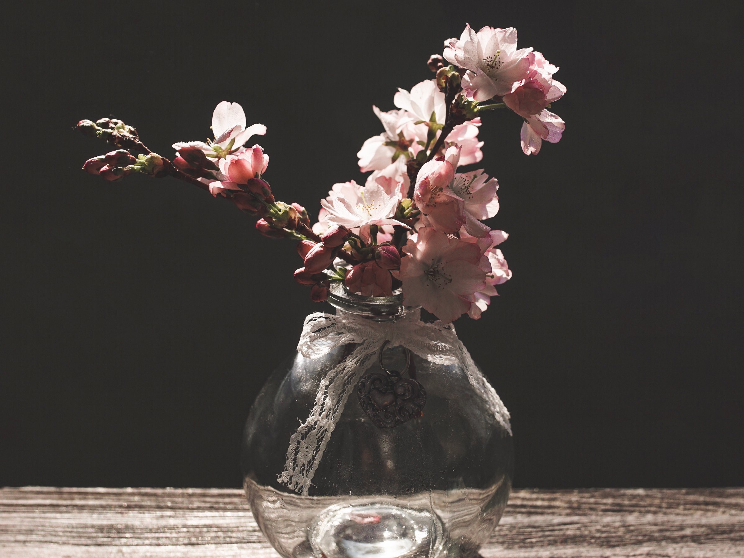 Barbarazweige in Vase