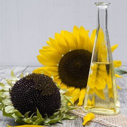 Köpfe von zwei Sonnenblumen mit Kernen liegen neben Flasche mit Sonnenblumenöl