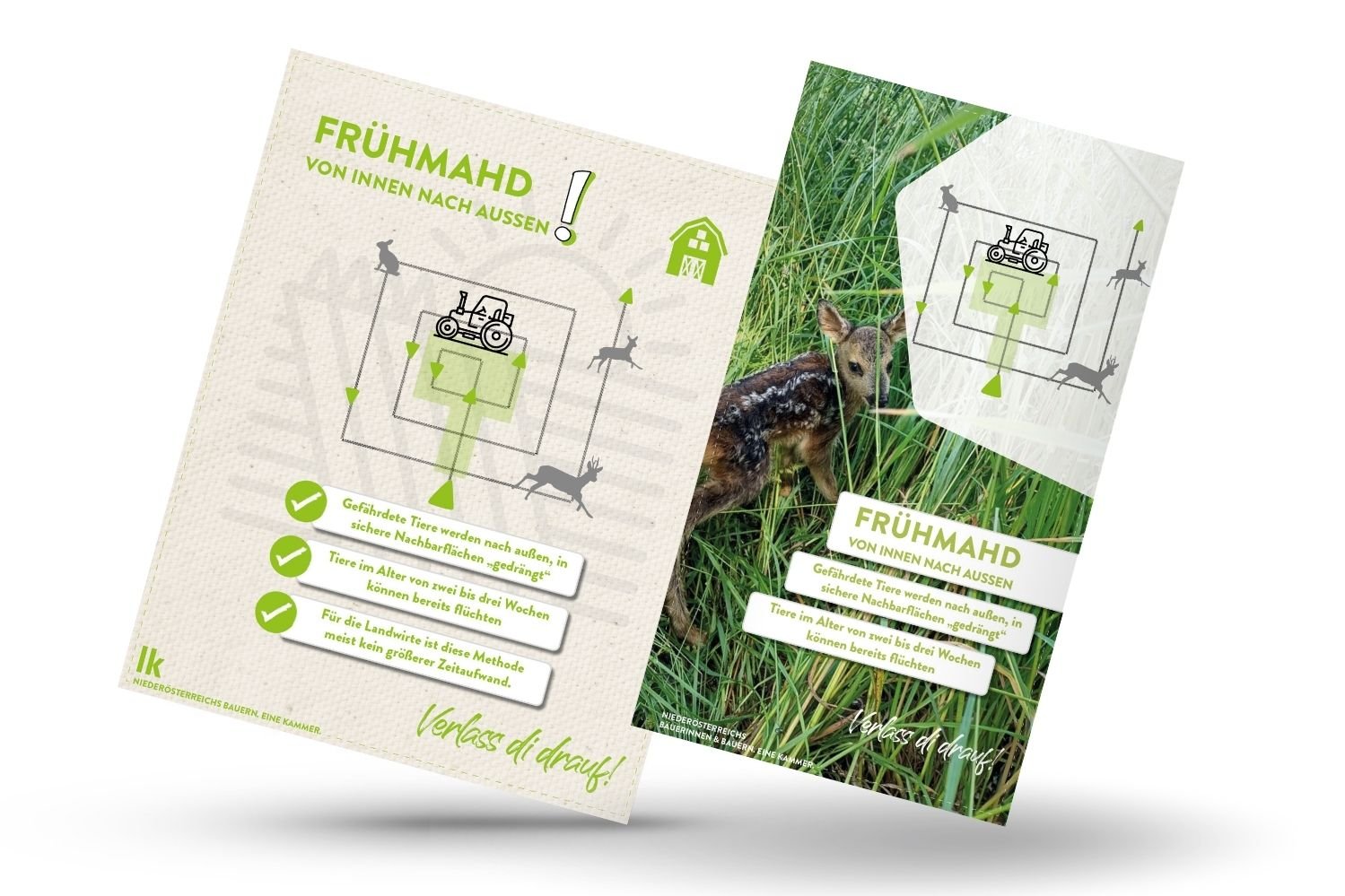 Mockups Frühmad