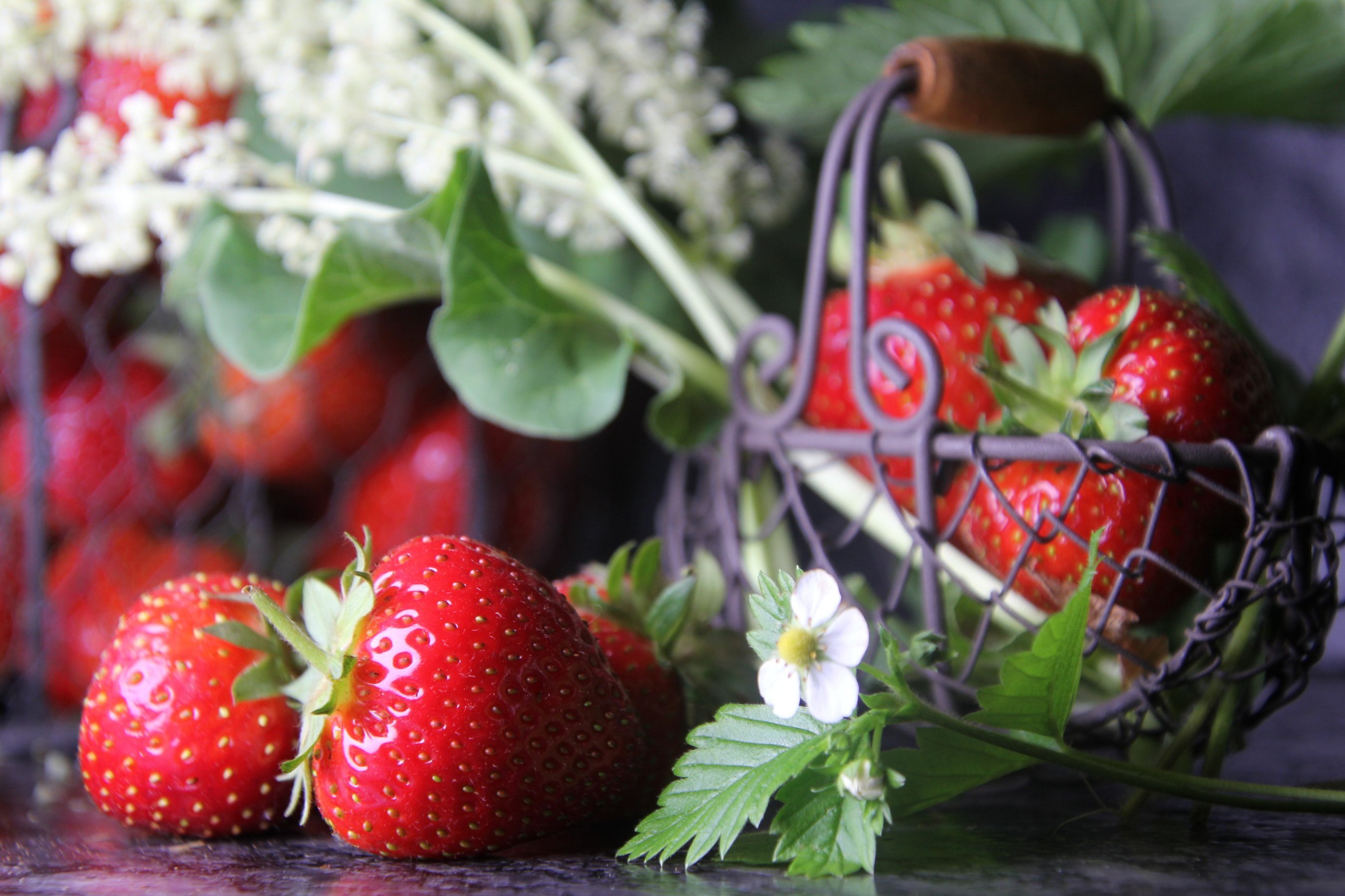 Erdbeeren mit Blüte