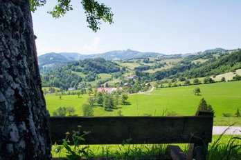 Ausblick auf Hügellandschaft mit vielen Wiesen und Wäldern in Niederösterreich