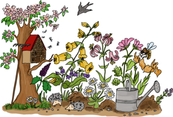 Natur im Garten als bunte Illustration von ©Eva Kail