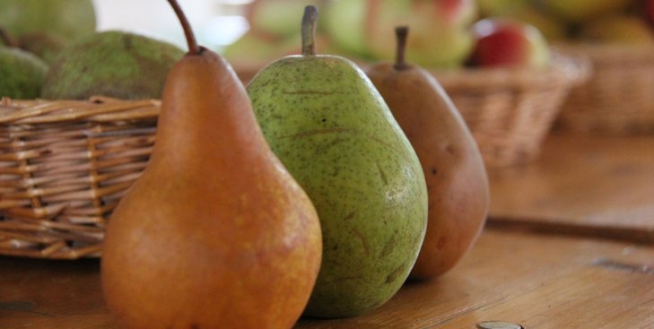 Unterschiedliche Birnensorten aufgereiht