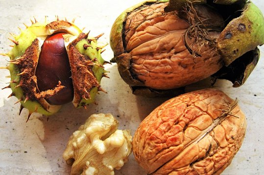 Walnuss und Maroni ©pixabay